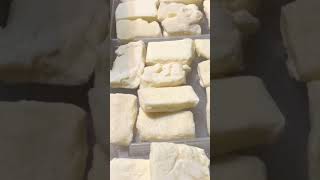 Freeze Drying Cream Cheese freezedriedfood foodpreservation creamcheese preservingfood yum [upl. by Grae295]