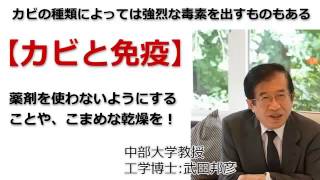 ◆武田邦彦：＜カビと免疫＞化学薬品的な『除カビ剤』などを使用せずに、カビを拭き取ったり乾燥することが大事！ [upl. by Orwin]