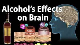 Effects of Alcohol on the Brain Animation Professional version [upl. by Sirehc]