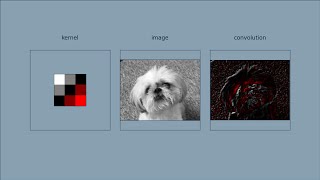 How Convolution Works [upl. by Tsui]