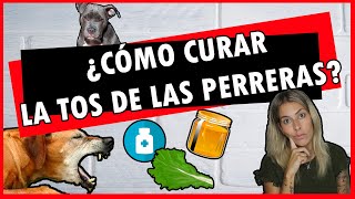 TOS DE LAS PERRERAS😣  ¿QUÉ es ¿CÓMO se CURA💊 [upl. by Stearne]