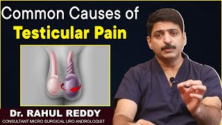 Common Causes of Testicular Pain  Treatment for Testicular Pain  Dr Rahul Reddy  Androcare Clinic [upl. by Ellirpa978]