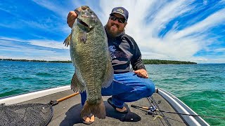 Raw and Uncut Fishing For GIANT Fish HUGE Bass On Ultralight Tackle [upl. by Yerhcaz415]