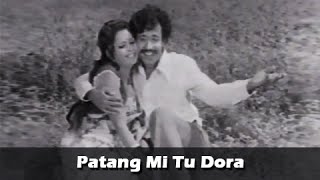 Nilu Phule in Romantic Song  Patang Mi Tu Dora  Deed Shahane Marathi Movie [upl. by Goulder]