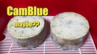 Making CamBlue Cheese [upl. by Nav172]