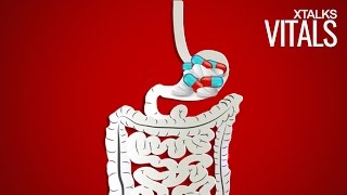 النشرة الدوائية الداخلية لدواء لاكتيول فورت  لاكتوباسيلاس   Lactobacillus [upl. by Palmer]