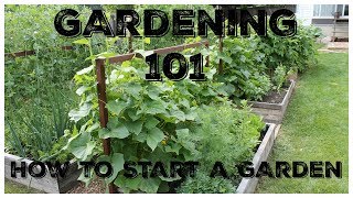 Gardening 101 How To Start A Garden [upl. by Ayenat523]