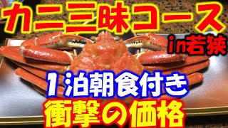 カニ三昧の宿 衝撃の価格 一人あたり約３杯 カニ刺し ゆでガニ 焼きガニ カニ味噌甲羅焼 カニグラタン カニ天ぷら カニすき 〆の雑炊 本当は教えたくない若狭のお宿 行政書士ライダーちゃんねる [upl. by Fredkin]