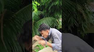 New horse race funny video  Bangla funny video  Sas shahin [upl. by Dlonyar]