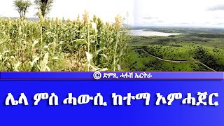 ሌላ ምስ ሓውሲ ከተማ ኦምሓጀር  DimTsi Hafash Eritreaድምጺ ሓፋሽ ኤርትራ [upl. by Sandon]