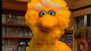 Sesame Street  Big Bird Tries To Help Gina [upl. by Nolak]