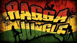 RAGGA JUNGLE  Drum n Bass Mix [upl. by Genni640]