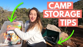 Car Camping ORGANIZATION CAMPING GEAR TIPS AND HACKS [upl. by Eugenides]