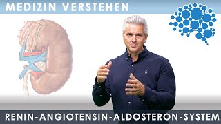 Renin Angiotensin Aldosteron System│Dr Dr Damir del Monte│Encephalon MedizinVideos bei Lecturio [upl. by Ytissahc]