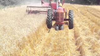 60 massey harris combine [upl. by Adnawed]