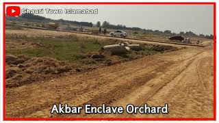 Akbar Orchard Phase 7 Ghouri Town [upl. by Nairrad]