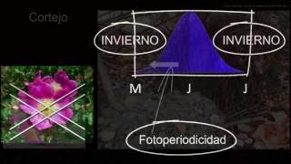 Comportamiento y selección natural  Biología  Khan Academy en Español [upl. by Oirasor181]