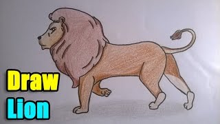 How to Draw a Lion [upl. by Ticon]