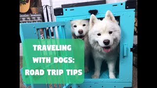 Traveling with Dogs Road Trip Tips with Impact Dog Crates [upl. by Ardnohsed]