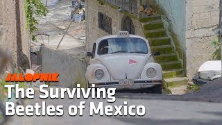 The Amazing Volkswagens of Mexico  A Look Inside [upl. by Andrej4]