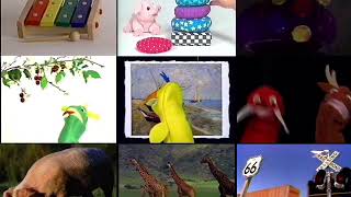 9 Baby Einstein Videos At Once Part 2 Of 3 [upl. by Gievlos]