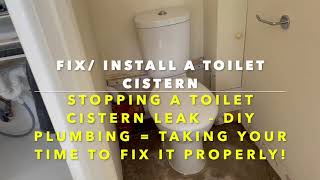 Toilet Cistern  Fixing a Leak and Installing so it Doesnt Leak [upl. by Llen425]