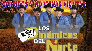 Los Dinamicos Del Norte Mix Selectivo  Puros Corridos mix 2023 [upl. by Teleya32]