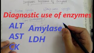 Diagnostic use of enzymes  Enzymes  Biochemistry [upl. by Sisak]