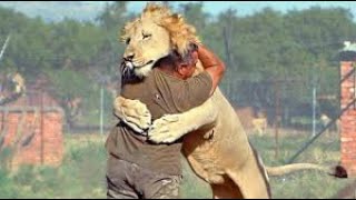 Animals Reunited With Their Owners After Years [upl. by Grannie80]