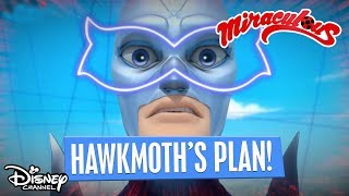 Hawk Moths Master Plan  Miraculous Ladybug  Disney Channel Africa [upl. by Kermit]