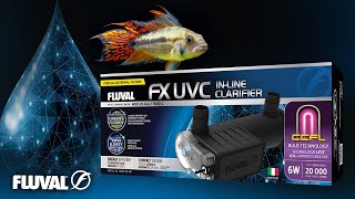 Fluval FX UVC InLine Clarifier  See Your Aquarium In High Definition [upl. by Edrei]