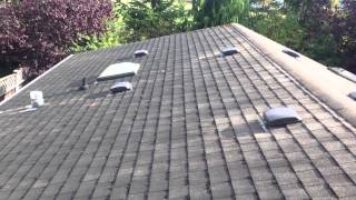 Gloeocapsa Magma Roof Stains In Bellingham WA [upl. by Ociram]