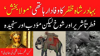 Bahadur Shah Zafar Ka Hathi  Maula Bakhsh Elephant  Mughal Empire History [upl. by Delphinia188]