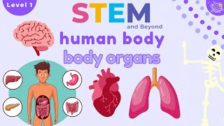 Human Body Organs  Science For Kids  STEM Home Learning [upl. by Yseult]