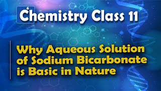 Why Aqueous Solution of Sodium Bicarbonate Is Basic in Nature  Chemical Equilibrium [upl. by Nylzor]