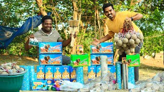 New Dangerous Crackers Testing  இப்படி எல்லாம் வெடி இருக்கா 🤔🤔  Village Rocket Testing [upl. by Warner]