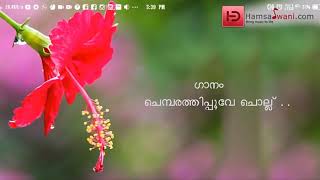 ചെമ്പരത്തിപ്പൂവേ ചൊല്ല് [upl. by Lalittah]