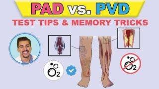 PAD vs PVI cartoon animation amp memory tricks peripheral arterial disease pathophysiology signs [upl. by Alayne]