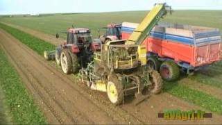 FRANQUET arracheuse chargeuse sur un CASE IH 1455 en 2010 [upl. by Ecirtra]