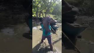 Top trending reels 😱 🤔 shorts fishing trending viral [upl. by Curley999]