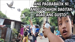 ANGELO DAHON HINAMON AKO NG DAGITAN [upl. by Erdah]