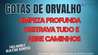 HOOPONOPONO GOTAS DE ORVALHO [upl. by Kress]