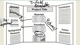 Trifold Board Tutorial [upl. by Saphra890]