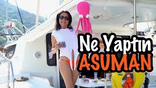 Katamaran ile Nefis Bir Gün  Drone Direkten Döndü  Sailing Kalamari Bl14 [upl. by Swords]