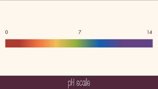 Hydrogen Ions and Acidity [upl. by Marcus]