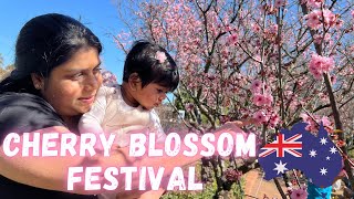 CHERRY BLOSSOM FESTIVAL SYDNEY AUSTRALIA  NADHIRA VLOG TAMIL [upl. by Leler70]