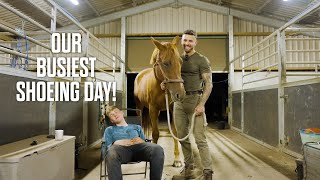 Our Busiest shoeing day EVER Day in the life of a Farrier in Yorkshire [upl. by Tait]