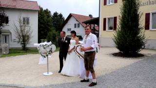 Ein Video von meinen Hochzeitstauben Illertissen Ulm Laupheim [upl. by Efar]