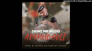 Drimz  Akamunsoli Official Audio [upl. by Kcirrag179]