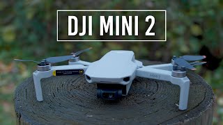 DJI Mini 2 Drone  Handson Review [upl. by Eniak306]